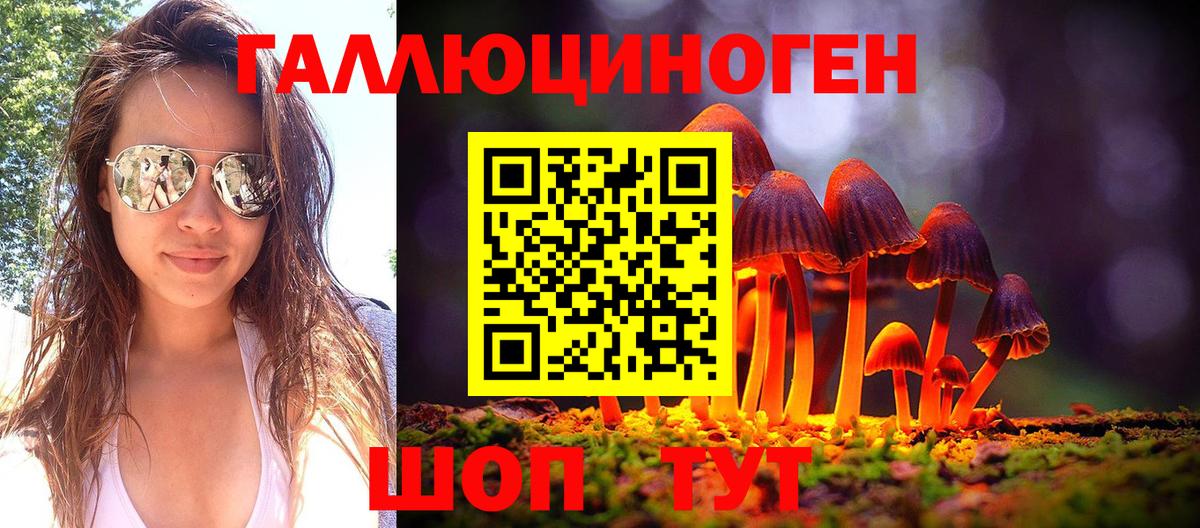 где найти   Вход с VPN  Нижнеудинск  Псилоцибиновые грибы MAGIC MUSHROOMS 